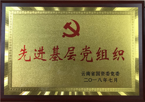 公司获省国资委党委、集团党委表彰