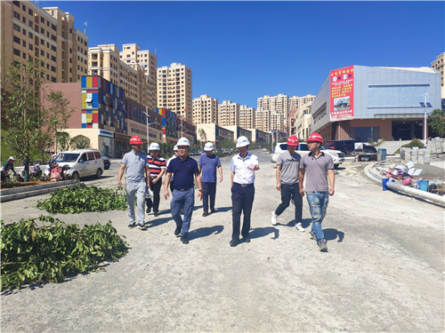 陈定华到镇雄易地扶贫搬迁项目呢噜坪大桥调研