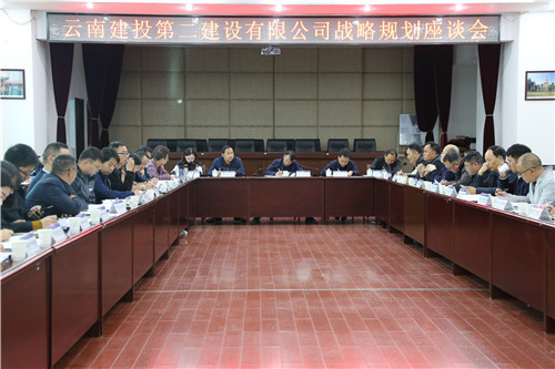 【公司要闻】公司召开2020年战略规划座谈会