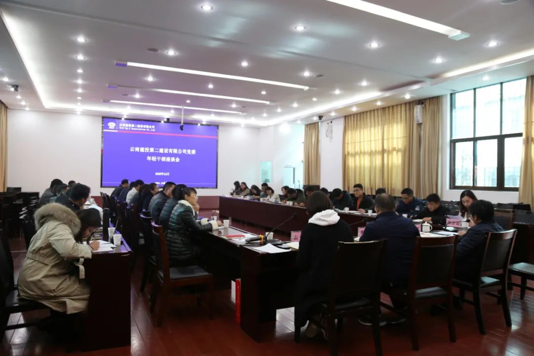 【公司要闻】只有创造价值，青春才是资本——公司党委召开年轻干部座谈会