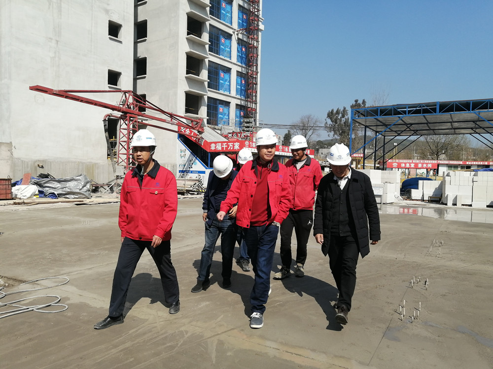 【调研检查】王现合调研大板桥项目