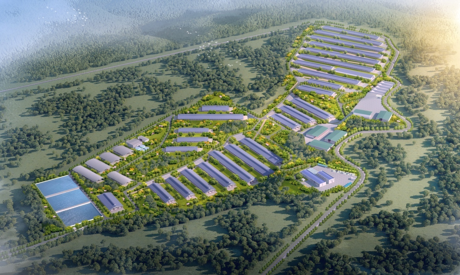 【喜报】1.29亿！第十六直管部成功中标西盟县万头肉牛养殖示范场建设（EPC）项目