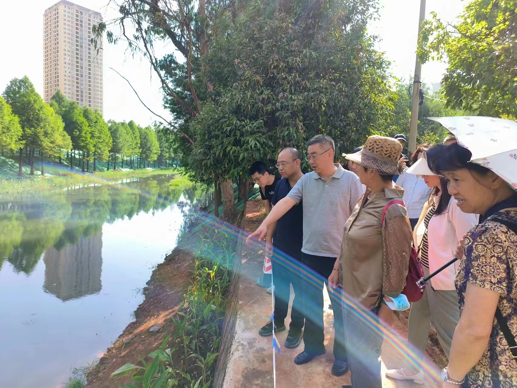 【调研检查】盘龙区委书记沃磊调研滨河海绵绿廊项目